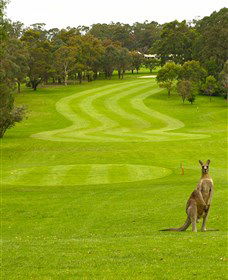 Pambula Merimbula Golf Club - Accommodation Ballina 2
