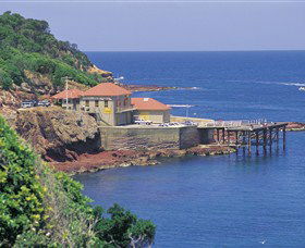 Merimbula Aquarium - Accommodation Ballina 0