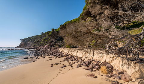 Terrace Beach And Lennards Island - Accommodation Ballina 2