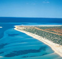 Monkey Mia - Accommodation Ballina