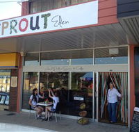 Sprout Eden - Accommodation Ballina