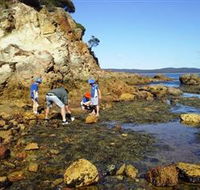 Sapphire Coast Marine Discovery Centre - Accommodation Ballina