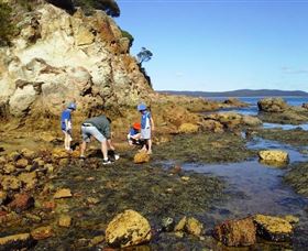 Sapphire Coast Marine Discovery Centre - Accommodation Ballina 0