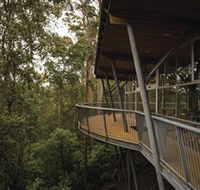 Tarkine Forest Adventures - Dismal Swamp - Accommodation Ballina