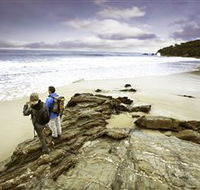 Wilderness Coast Walk - Accommodation Ballina