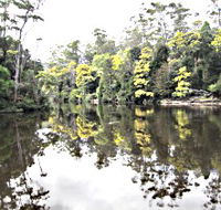 Arthur River - Accommodation Ballina