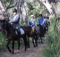 Mirravale Horse Riding School - Accommodation Ballina
