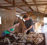 Peron Homestead - Accommodation Ballina