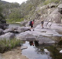 Nadgee Wilderness Walk - Accommodation Ballina