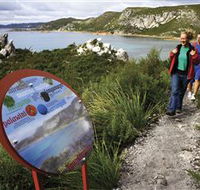 Rocky Cape National Park - Accommodation Ballina