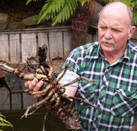 Lobster Ponds - Accommodation Ballina