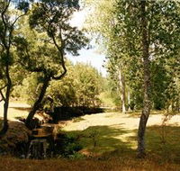 Oldina Picnic Area - Accommodation Ballina