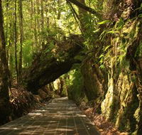 Philosopher Falls - Accommodation Ballina