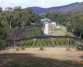 Motton Terraces - Accommodation Ballina 0