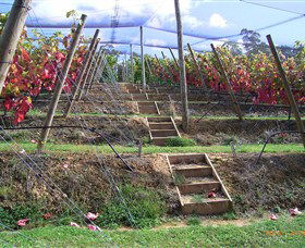 Motton Terraces - Accommodation Ballina 2