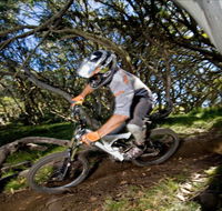 All Terrain Cycles - Accommodation Ballina