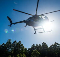 Tall Timbers Adventure Tours - Accommodation Ballina