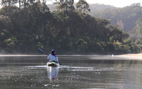 Kiah Wilderness Tours - Accommodation Ballina 3