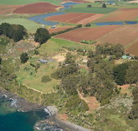 Winged House - The - Accommodation Ballina