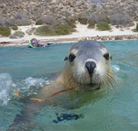 Calypso Star Charters - Accommodation Ballina