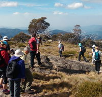 Hedonistic Hiking - Accommodation Ballina