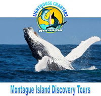 Lighthouse Charters Narooma - Accommodation Ballina