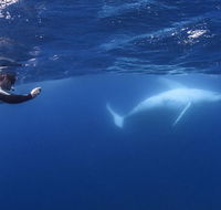 Sunreef Mooloolaba - Accommodation Ballina