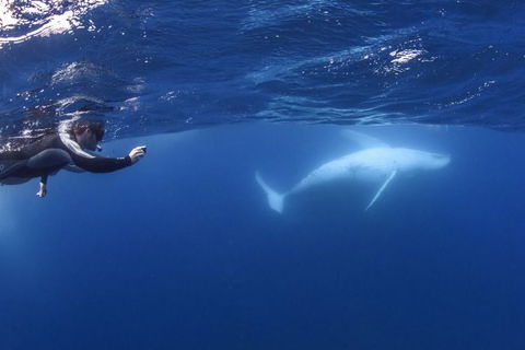 Sunreef Mooloolaba - Accommodation Ballina 1