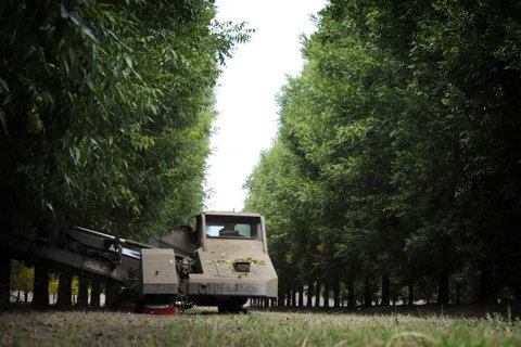 ODempseys Charters And Tours - Accommodation Ballina 1