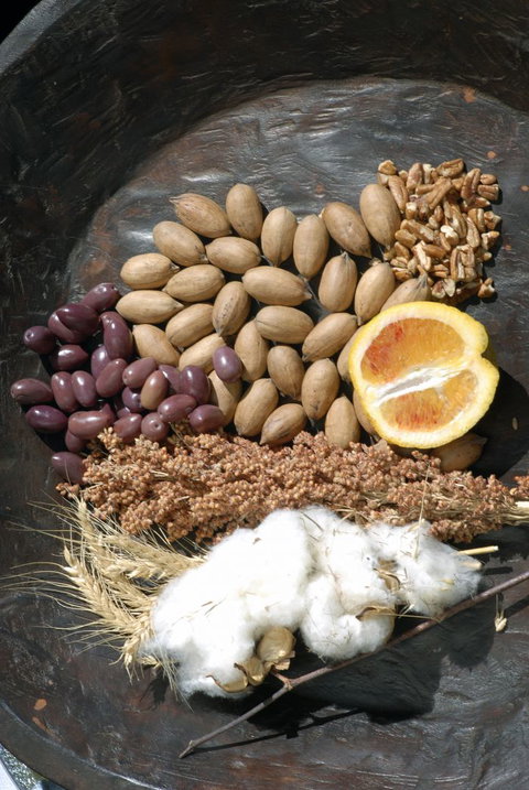 ODempseys Charters And Tours - Accommodation Ballina 2