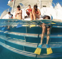 Australian Sunset Safaris - Accommodation Ballina