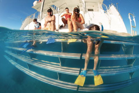 Australian Sunset Safaris - Accommodation Ballina 5