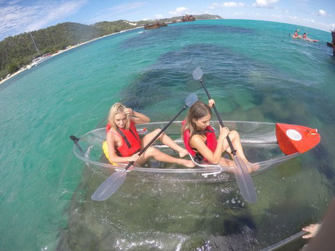 Australian Sunset Safaris - Accommodation Ballina 15