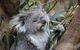 Oceania Tours And Safaris - thumb 3