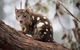 Oceania Tours And Safaris - thumb 25