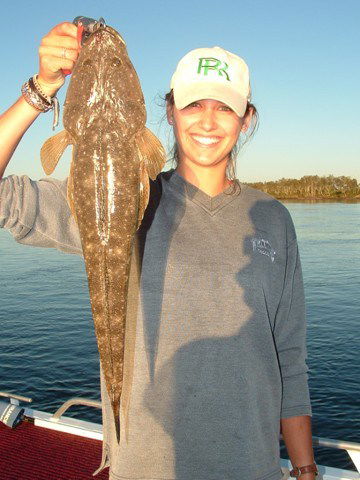 Reel Time Charters Yamba - Accommodation Ballina 1