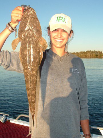 Reel Time Charters Yamba - Accommodation Ballina 2