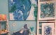 Kaz Art-Whitewash Gallery - thumb 4