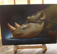 Art on Pallas - Accommodation Ballina