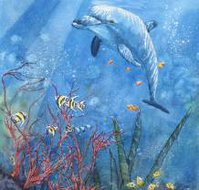 Nadas Fine Art Gallery