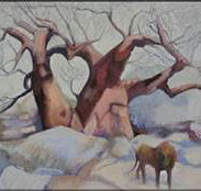 Bright Madge - Accommodation Ballina