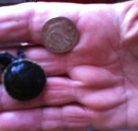 Hurleys Aquariums - Accommodation Ballina