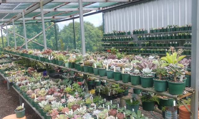 Wollongbar NSW Accommodation Ballina