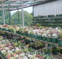 Summerland Aquarium - Accommodation Ballina