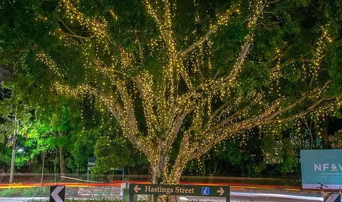 The Sunshine Coast Tour Company - Accommodation Ballina 3