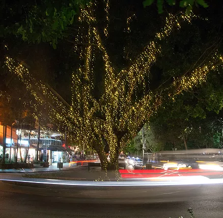 The Sunshine Coast Tour Company - Accommodation Ballina 2