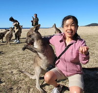 Batemans Bay Full-Day Tour from Canberra Including Indigenous Experience - Accommodation Ballina