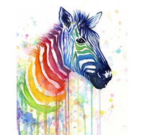 Rainbow Zebra - 65 Northbourne 7.30-9.30pm - Accommodation Ballina