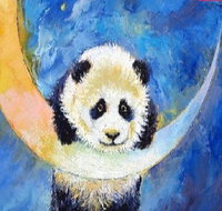Panda Moon - Statesman Hotel 7.00-9.00pm - Accommodation Ballina
