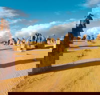Pinnacles Desert Koalas and Sandboarding 4WD Day Tour from Perth - Accommodation Ballina